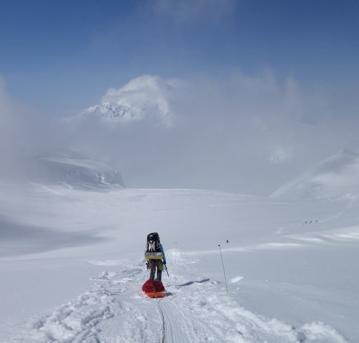 Climber with sled on Denali in Alaska